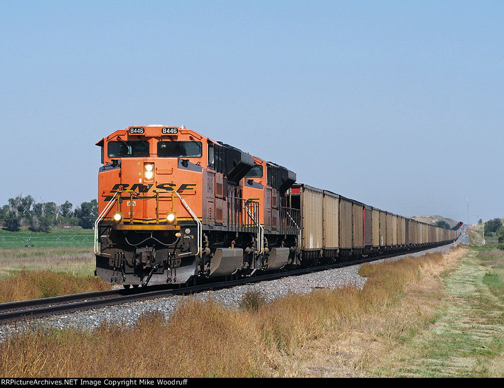 BNSF 8446